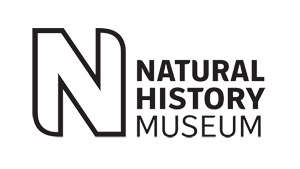 Professional photography shot at the Natural History Museum