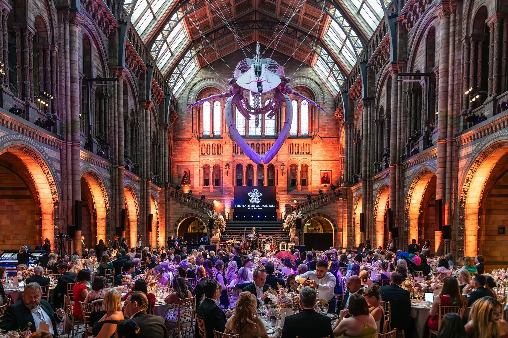 Evening reception in Hintze Hall at the Natural History Museum, guests beneath the suspended blue whale skeleton